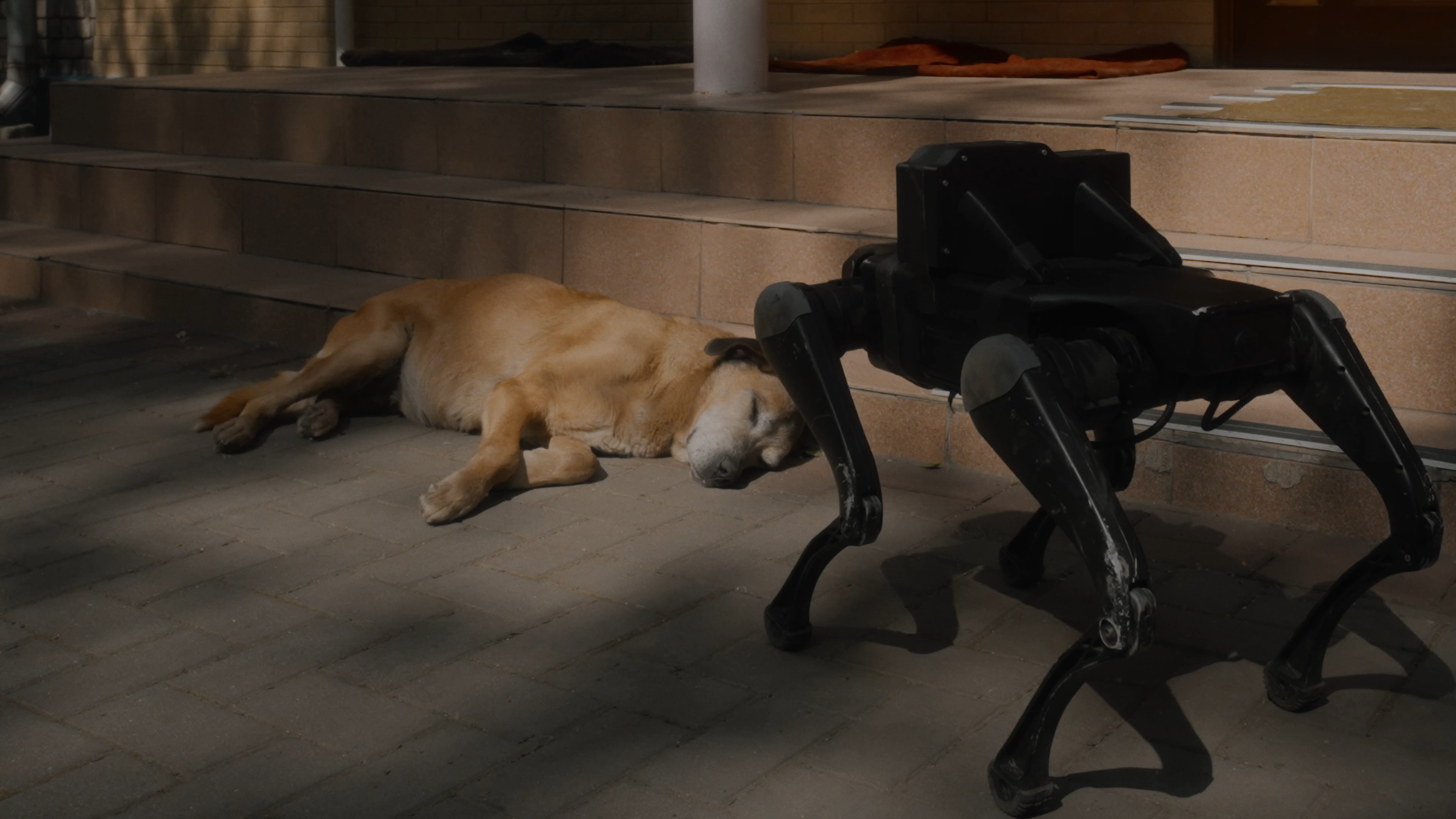 ‘Pedagogías de guerra’, la primera muestra en España que explora el conflicto ucraniano desde lo cotidiano